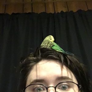 Meet your Posher, Leeann